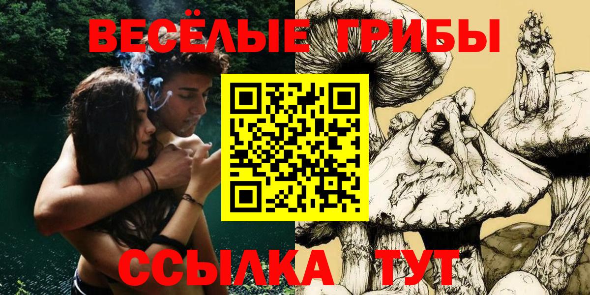 Псилоцибиновые грибы Psilocybe Белово