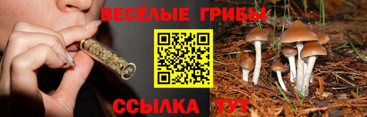 продажа наркотиков  Вход с VPN  Белово  Псилоцибиновые грибы Psilocybe  Псилоцибиновые грибы ЛСД 