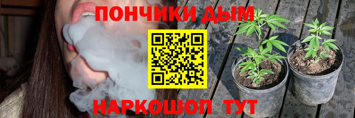 Бошки Шишки семена  Конопля Bruce Banner  Канабис SATIVA & INDICA  Белово  Вход с VPN 